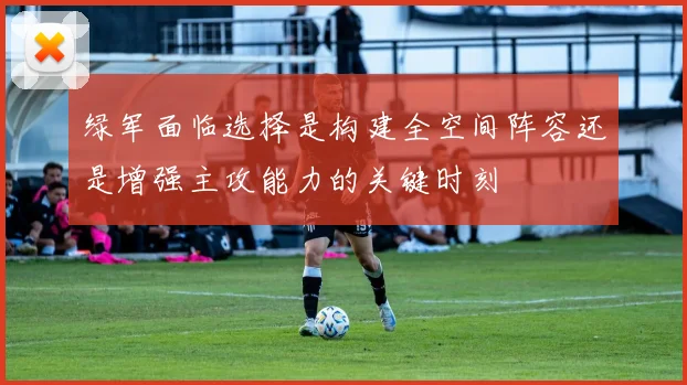 绿军面临选择是构建全空间阵容还是增强主攻能力的关键时刻