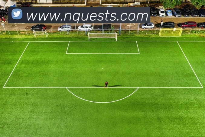奖项证书